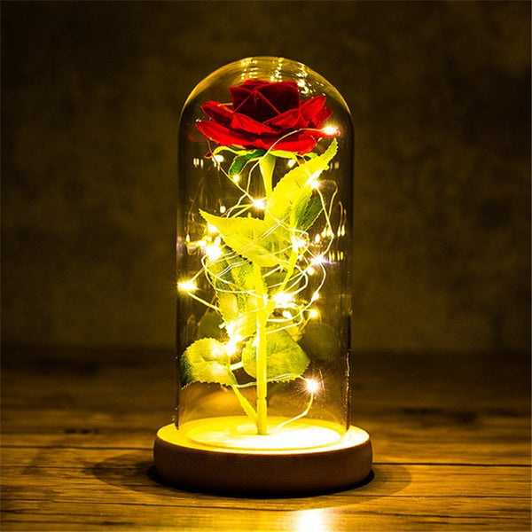 Eternal Rose LED Light Valentines Day Gift for Girlfriend