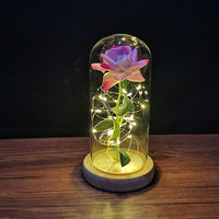 Eternal Rose LED Light Valentines Day Gift for Girlfriend