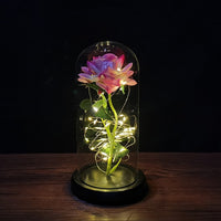 Eternal Rose LED Light Valentines Day Gift for Girlfriend