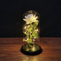 Eternal Rose LED Light Valentines Day Gift for Girlfriend