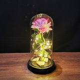 Eternal Rose LED Light Valentines Day Gift for Girlfriend