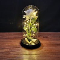 Eternal Rose LED Light Valentines Day Gift for Girlfriend