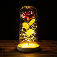 Eternal Rose LED Light Valentines Day Gift for Girlfriend