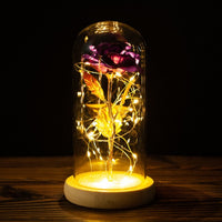 Eternal Rose LED Light Valentines Day Gift for Girlfriend